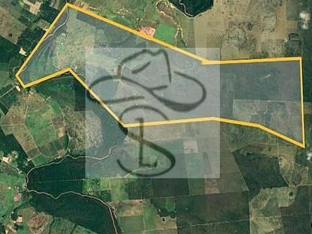 Sítio e chácara venda em Região Geográfica Imediata de Janaúba, Jaíba