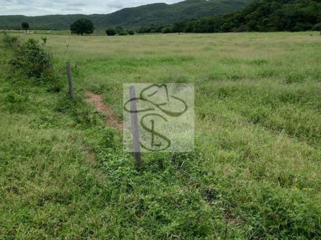 Sítio e chácara venda em Região Geográfica Imediata de Janaúba, Janaúba