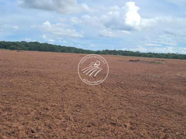 Sítio e chácara venda em Região Geográfica Imediata de Cuiabá, Jangada