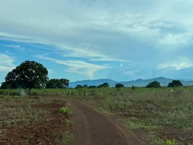 Sítio e chácara venda em Região Geográfica Imediata de Cuiabá, Jangada