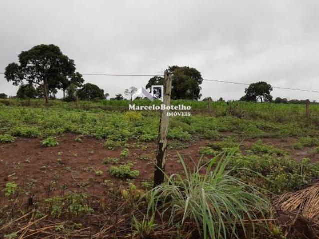 Sítio e chácara venda em Região Geográfica Imediata de Cuiabá, Jangada
