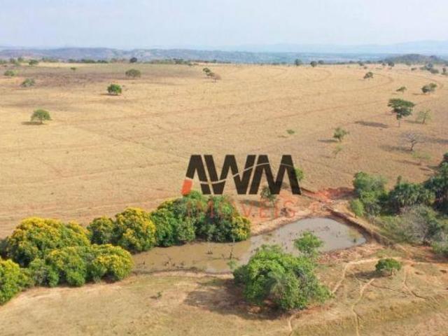 Sítio e chácara venda em Região Geográfica Imediata de Anápolis, Jaraguá