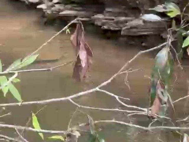 Sítio e chácara venda em Região Geográfica Imediata de Patos de Minas, João Pinheiro