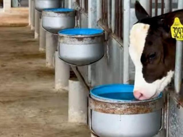 Sítio e chácara venda em Região Geográfica Imediata de Patos de Minas, João Pinheiro