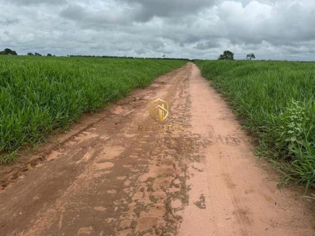 Sítio e chácara venda em João Pinheiro