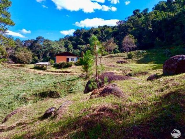 Sítio e chácara venda em Joanópolis