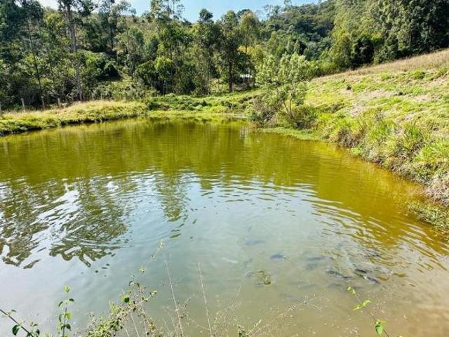Sítio e chácara venda em Joanópolis