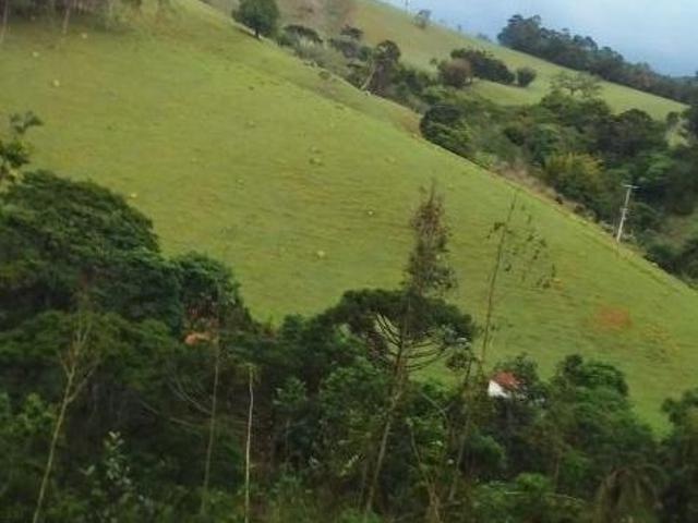Sítio e chácara venda em Joanópolis