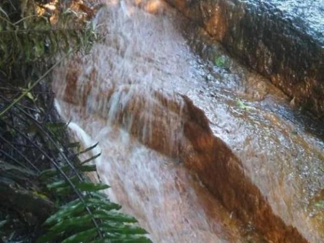 Sítio e chácara venda em Região Imediata de Bragança Paulista, Joanópolis