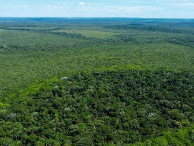 Sítio e chácara venda em Região Geográfica Imediata de Juara, Juara