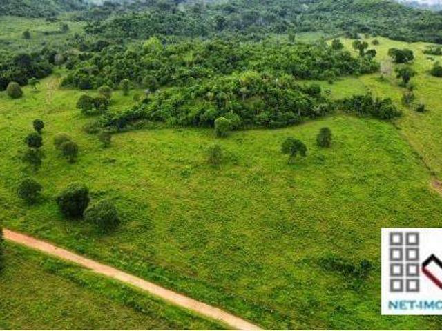 Sítio e chácara venda em Região Geográfica Imediata de Juara, Juara