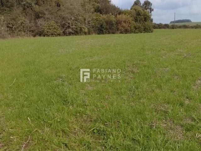 Sítio e chácara venda em Júlio de Castilhos