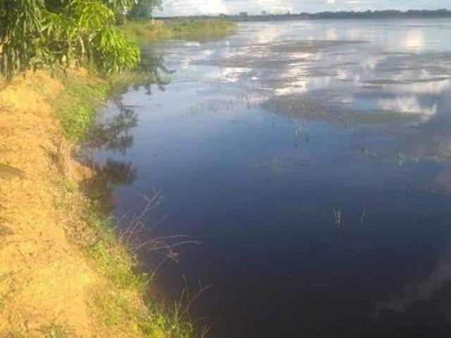 Sítio e chácara venda em Região Geográfica Imediata de Goiás - Itapuranga, Jussara