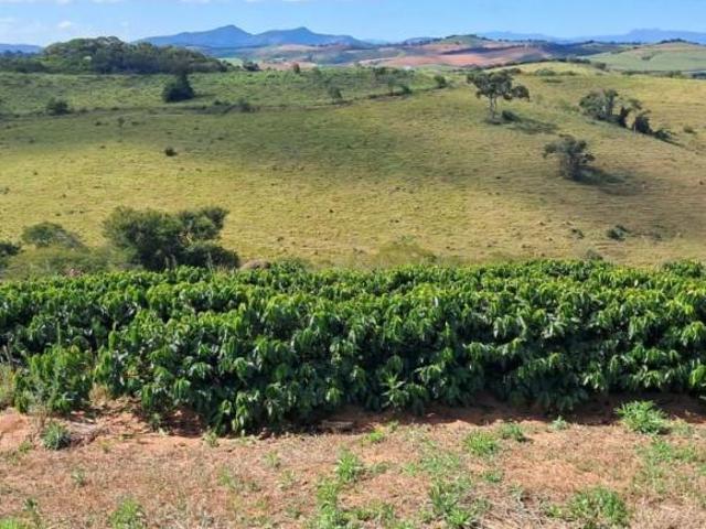 Sítio e chácara venda em Região Geográfica Imediata de Belo Horizonte, Região Metropolitana de Belo Horizonte