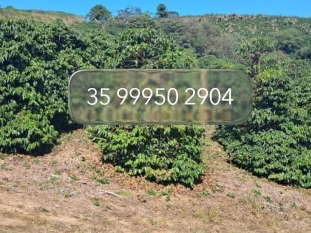 Sítio e chácara venda em Região Geográfica Imediata de Belo Horizonte, Região Metropolitana de Belo Horizonte