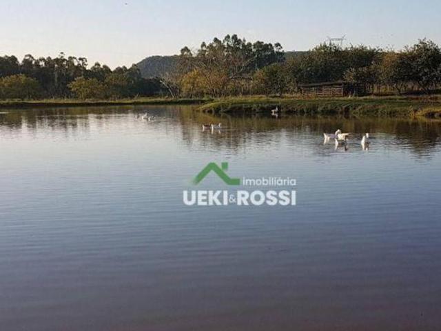 Sítio e chácara venda em Região Geográfica Imediata de Cornélio Procópio-Bandeirantes, Leópolis