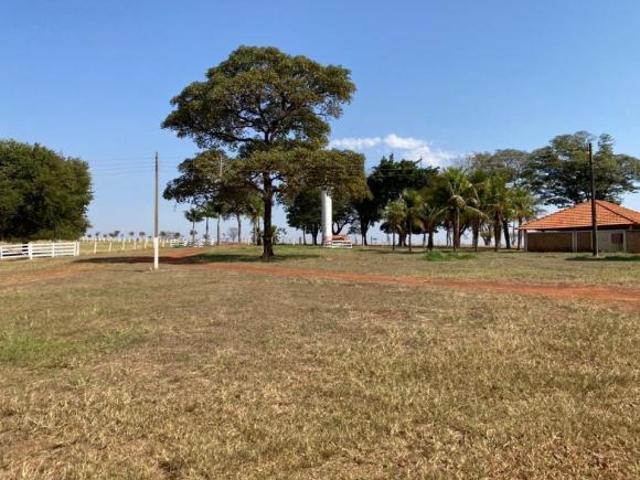 Sítio e chácara venda em Lins