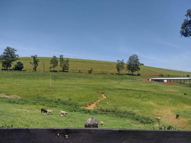 Sítio e chácara venda em Lorena
