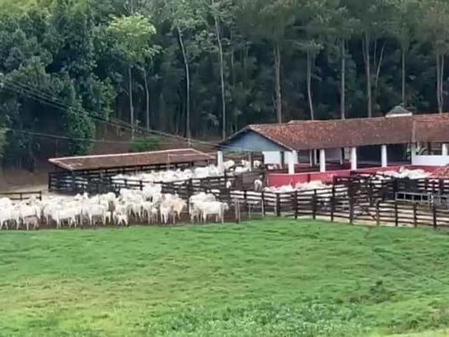 Sítio e chácara venda em Região Imediata de Guaratinguetá, Região Metropolitana do Vale do Paraíba e Litoral Norte