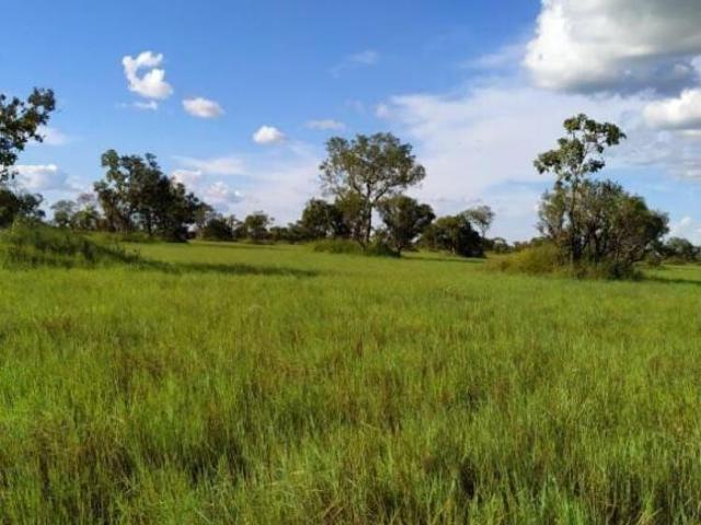 Sítio e chácara venda em Luciara, Região Geográfica Intermediária de Barra do Garças