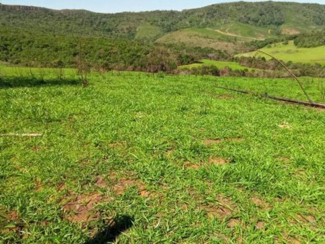 Sítio e chácara venda em Região Geográfica Imediata de Lavras, Luminárias