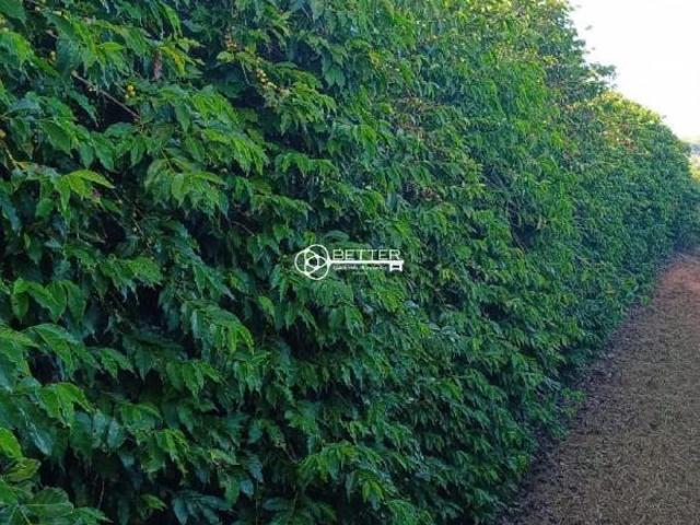 Sítio e chácara venda em Região Geográfica Imediata de Lavras, Luminárias