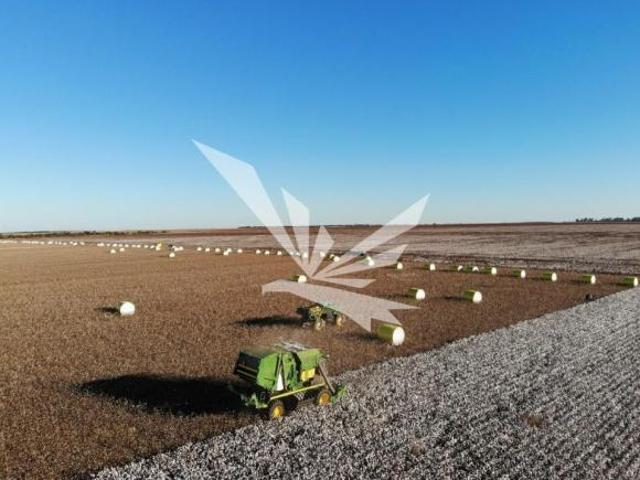 Sítio e chácara venda em Região Geográfica Imediata de Luziânia, Região Integrada de Desenvolvimento do Distrito Federal e Entorno