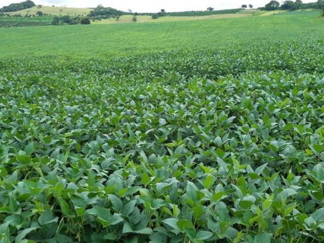 Sítio e chácara venda em Região Geográfica Imediata de Alfenas, Machado