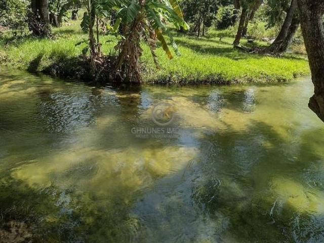 Sítio e chácara venda em Região Geográfica Imediata de Posse-Campos Belos, Mambaí