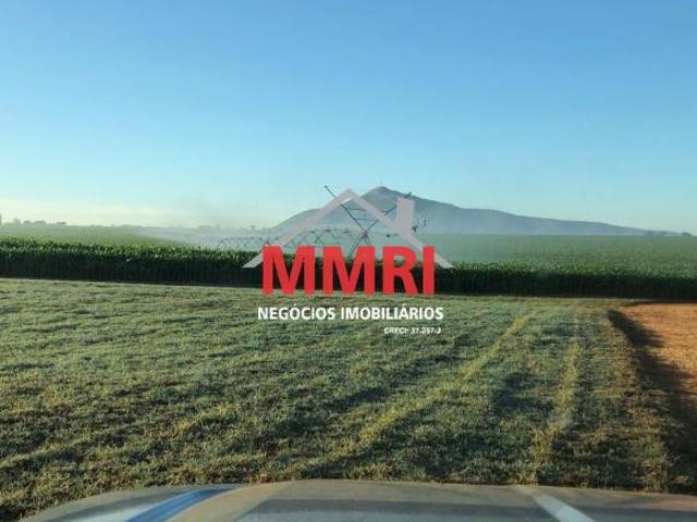 Sítio e chácara venda em Região Geográfica Imediata de Janaúba, Manga