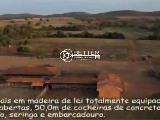 Sítio e chácara venda em Região Geográfica Imediata de Janaúba, Manga