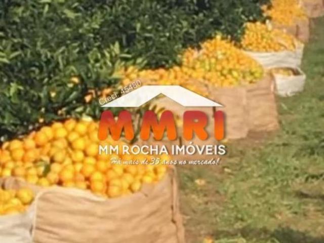 Sítio e chácara venda em Região Imediata de Marília, Marília