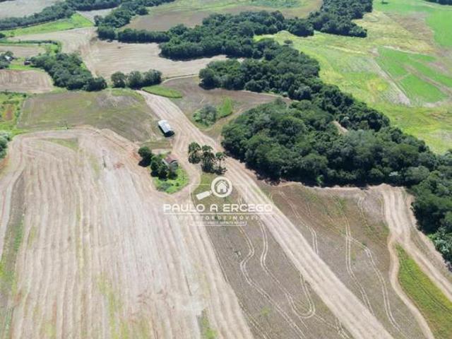 Sítio e chácara venda em Região Geográfica Imediata de Francisco Beltrão, Marmeleiro
