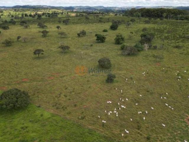 Sítio e chácara venda em Região Geográfica Imediata de Sete Lagoas, Região Metropolitana de Belo Horizonte