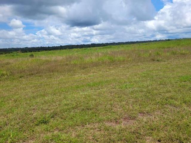 Sítio e chácara venda em Região Geográfica Imediata de Peixoto de Azevedo - Guarantã do Norte, Matupá