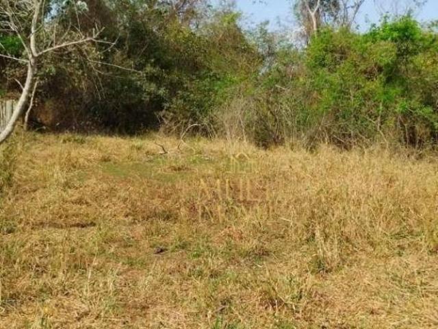 Sítio e chácara venda em Região Imediata de Jales, Mesópolis
