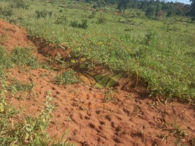 Sítio e chácara venda em Região Geográfica Imediata de Jataí-Mineiros, Mineiros