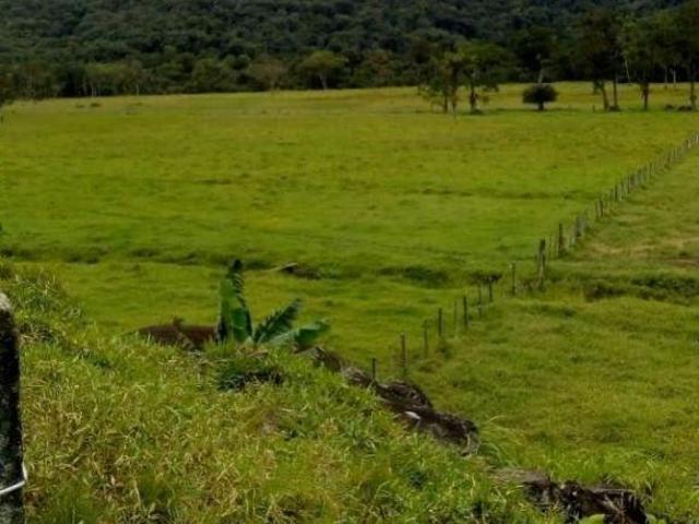 Sítio e chácara venda em Região Imediata de São Paulo, Região Metropolitana de São Paulo