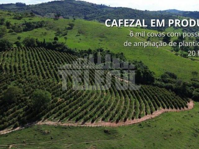 Sítio e chácara venda em Região Geográfica Imediata de Varginha, Monsenhor Paulo