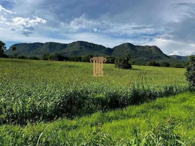 Sítio e chácara venda em Monte Alegre de Goiás, Região Geográfica Intermediária de Luziânia-Águas Lindas de Goiás