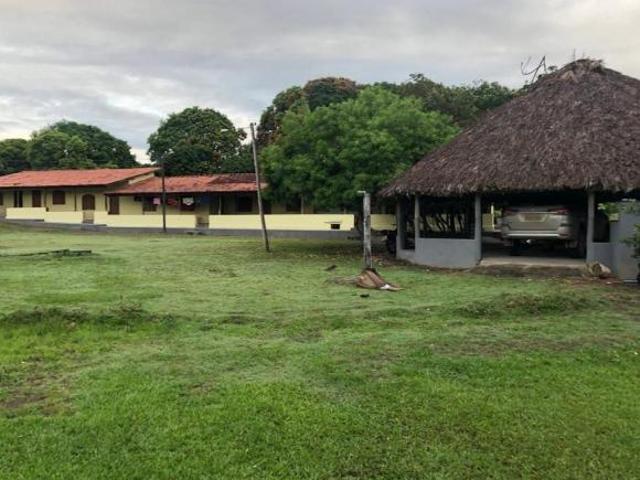 Sítio e chácara venda em Região Geográfica Imediata de Posse-Campos Belos, Monte Alegre de Goiás
