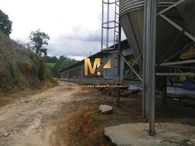 Sítio e chácara venda em Região Imediata de Campinas, Região Metropolitana de Piracicaba