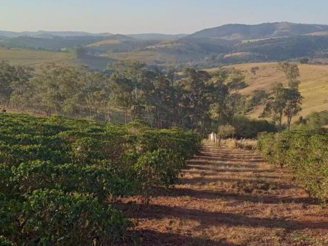 Sítio e chácara venda em Monte Belo, Região Geográfica Intermediária de Varginha