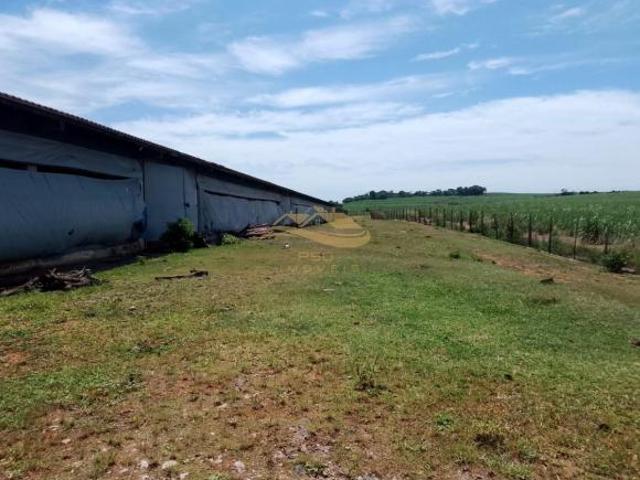 Sítio e chácara venda em Região Imediata de Campinas, Região Metropolitana de Campinas