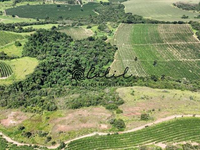 Sítio e chácara venda em Monte Santo de Minas, Região Geográfica Intermediária de Varginha
