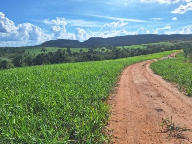 Sítio e chácara venda em Região Geográfica Imediata de Abaeté, Morada Nova de Minas