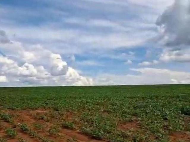 Sítio e chácara venda em Morrinhos, Região Geográfica Intermediária de Itumbiara