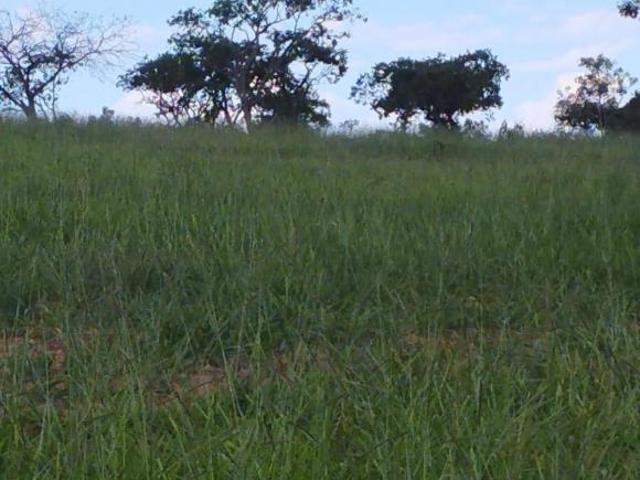 Sítio e chácara venda em Região Geográfica Imediata de Curvelo, Morro da Garça
