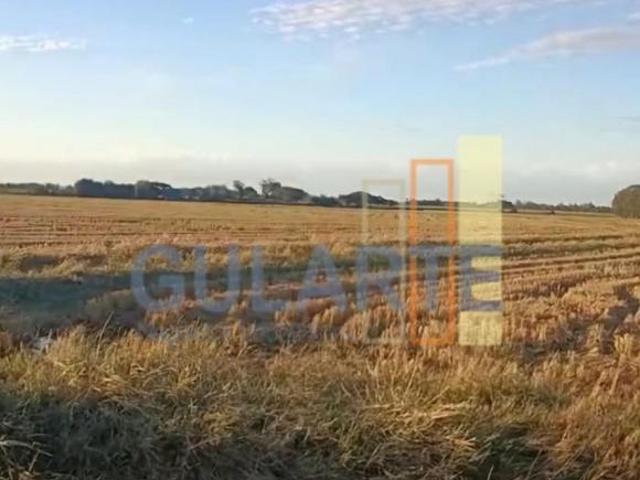Sítio e chácara venda em Mostardas