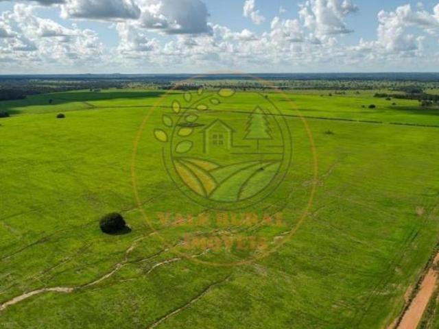 Sítio e chácara venda em Região Geográfica Imediata de Porangatu, Mundo Novo
